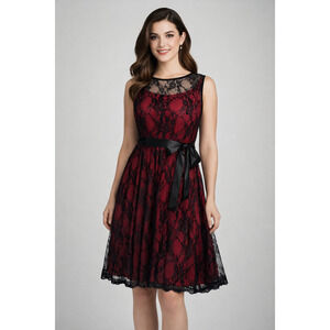 Red Black Fit & Flare Lace Dress 6 Whimsigoth Dark Vampire Romantic Victorian